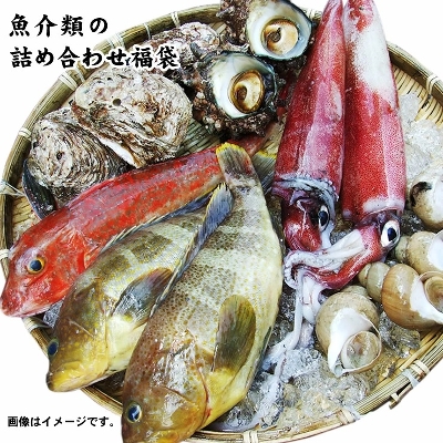 ނ̋lߍ킹3980~Zbg(2&#12316;4ix) yzNZbg