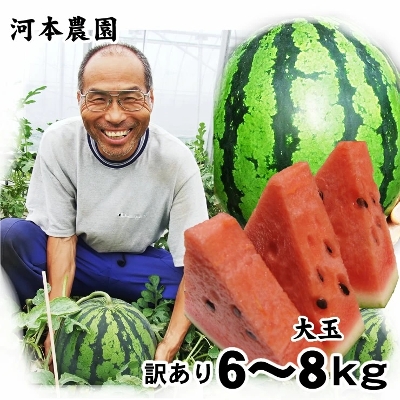 ʃXCJ