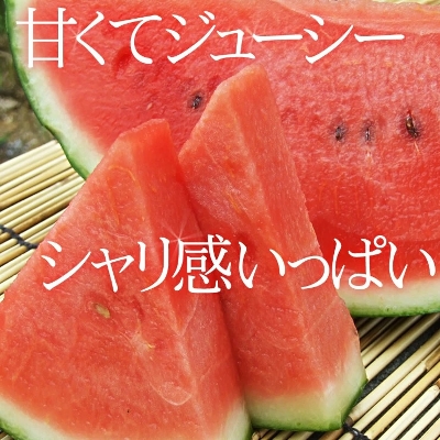 y\̔z͖{_̑ʃXCJi󂠂ji16-8x)ik-3kjm挧YZnm퉷]y6{ȍ~n莟攭z