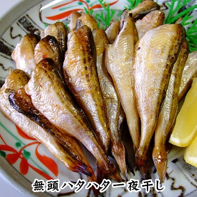 un^n^銱(^Cv)v100Zbgi6-9xjiė①oׁI)