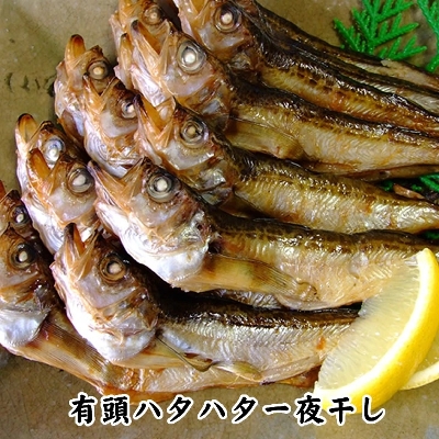 Vn^n^[Ⓚ]@