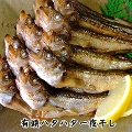Vn^n^[Ⓚ]@
