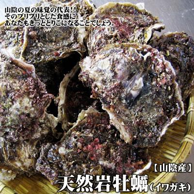 天然岩牡蠣[生] 